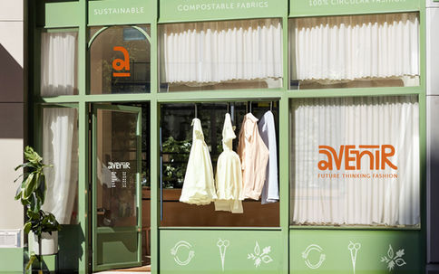 Avenir Store Design