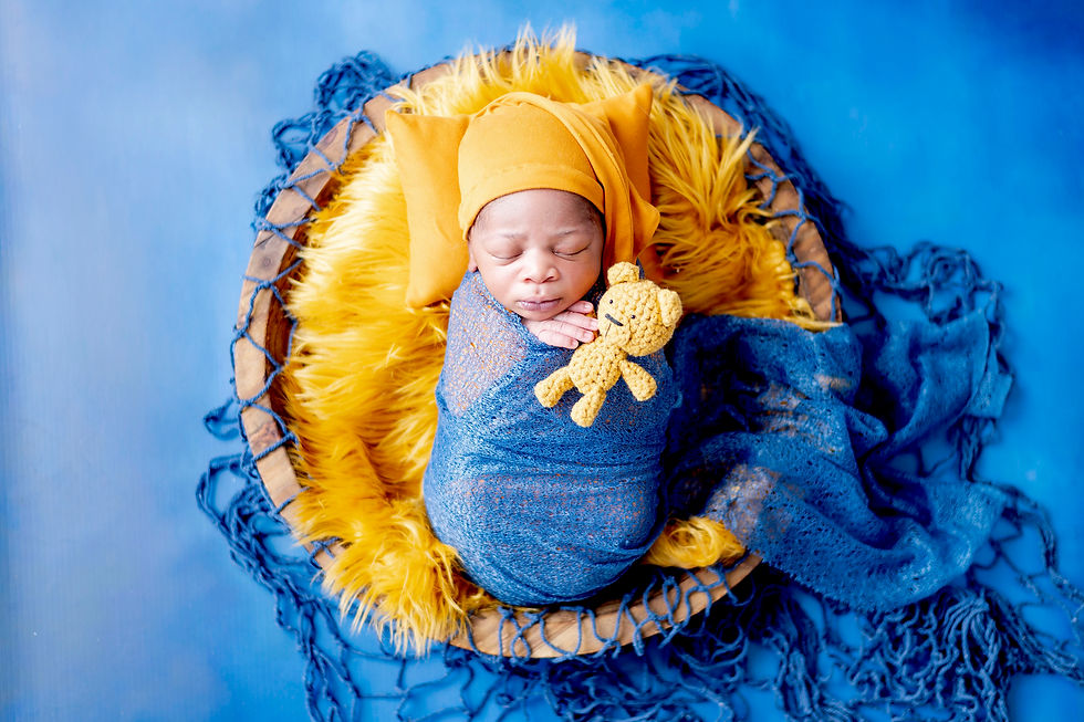 Newborn Photoshoot