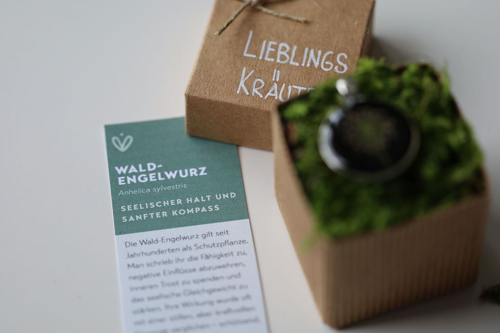 Miniaturbild: Wald-Engelwurz