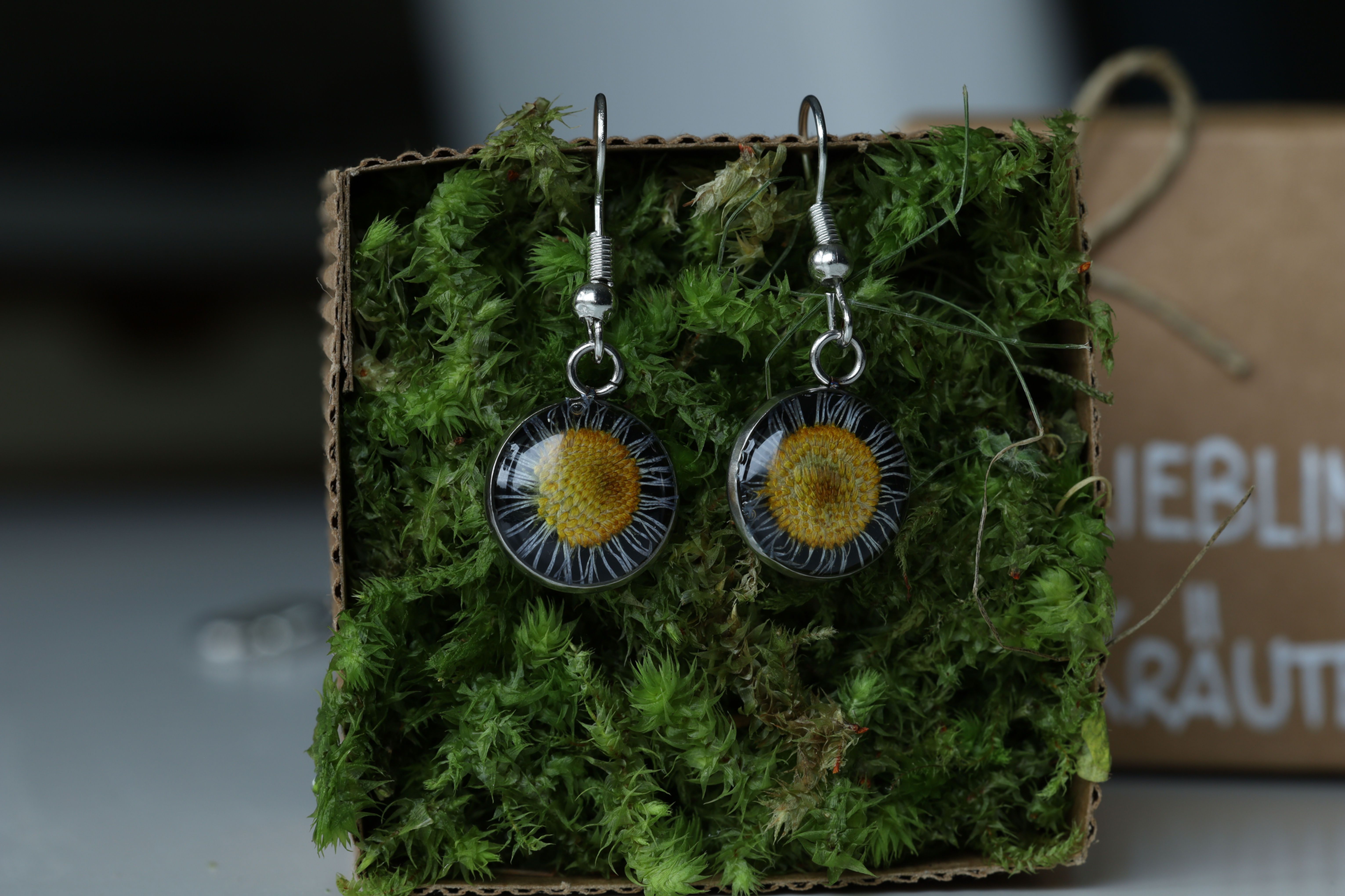 OhrHÄNGER Berufkraut