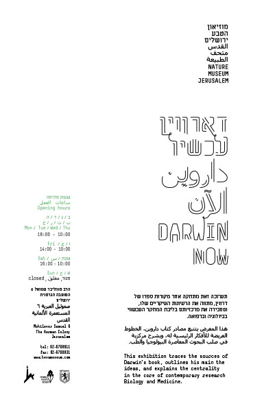 darwin