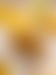 FRANGO COM LEMON PEPPER E MELADO