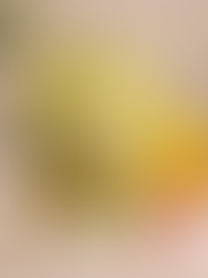 PROTEÍNA DE ERVILHA