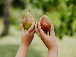 RECEITAS DA ESTAÇÃO | Fevereiro