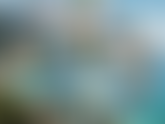 Phuket's Disconnect: Why a Fragmented Wellness Market is a Barrier to Global Leadership