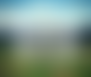 Celebrate St. Patty's with a GRiT!