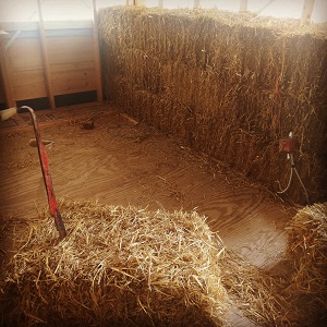 strawbales in the process of wall building