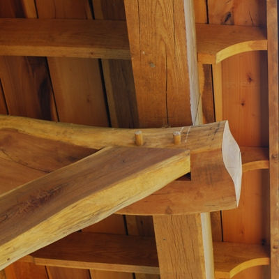 Black Ankle Vineyard