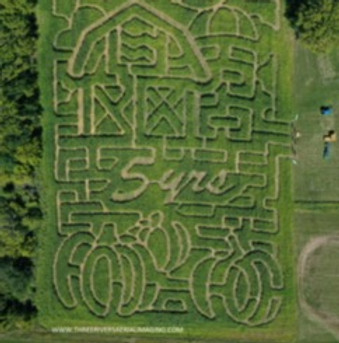 FA 2022 Composite2 (1).JPG