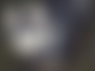 Ever wondered about Huskies ?