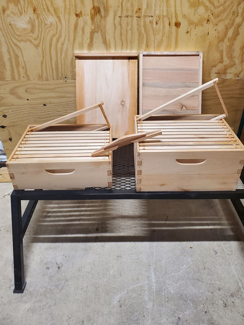 Thumbnail: Eucalyptus Wood Hive