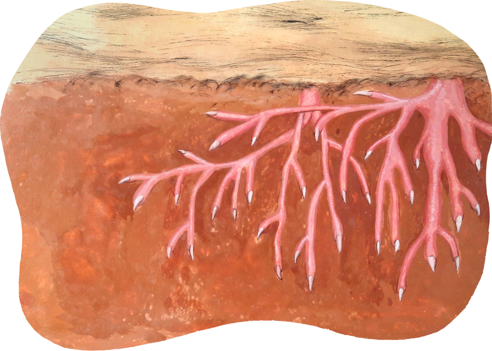 Perspective of hope through metaphorical natural forms.