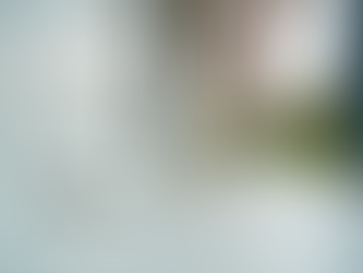 Finding the Best House Painters Near You