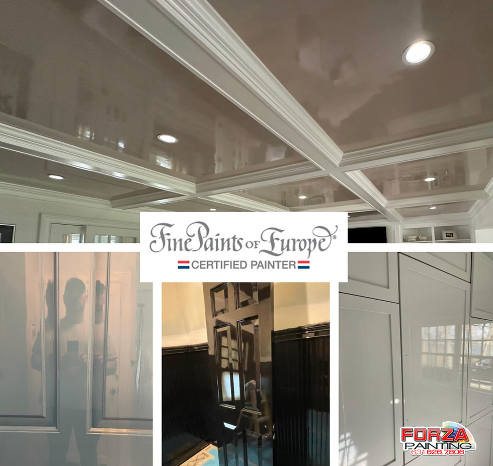 Fine Paints of Europe