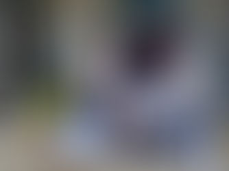 Carlson Paint and Paper’s Proud Relationship with Women of Paint