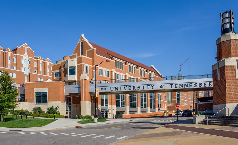 University of Tennessee Pedestrian Overpass HD_Knoxville_UTBridge_189 large.jpg