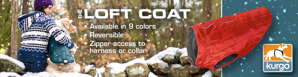 loft_snow_9-20.gif