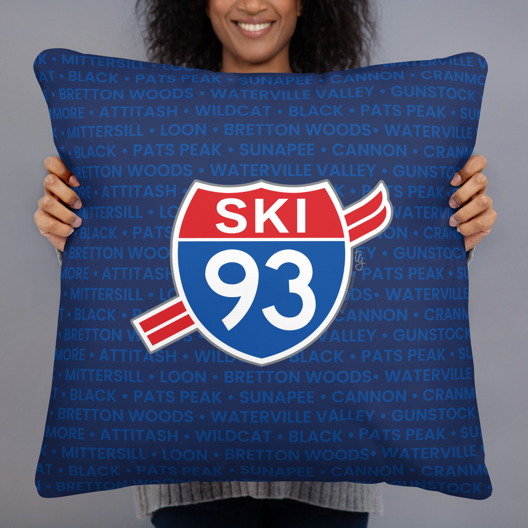 Ski 93 - Blue Pillow