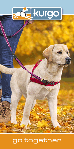 300x600_WA-Harness_9-19.gif