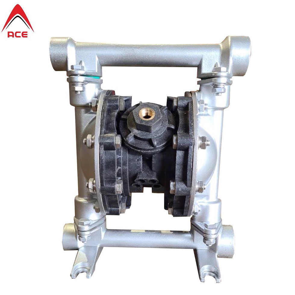 Stainless Steel Pneumatic Diaphragm Pump