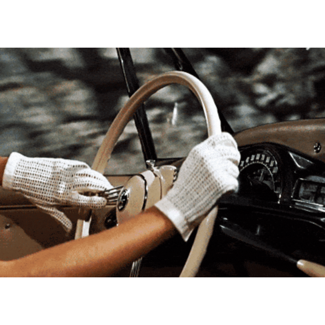 FBS FIG.gif