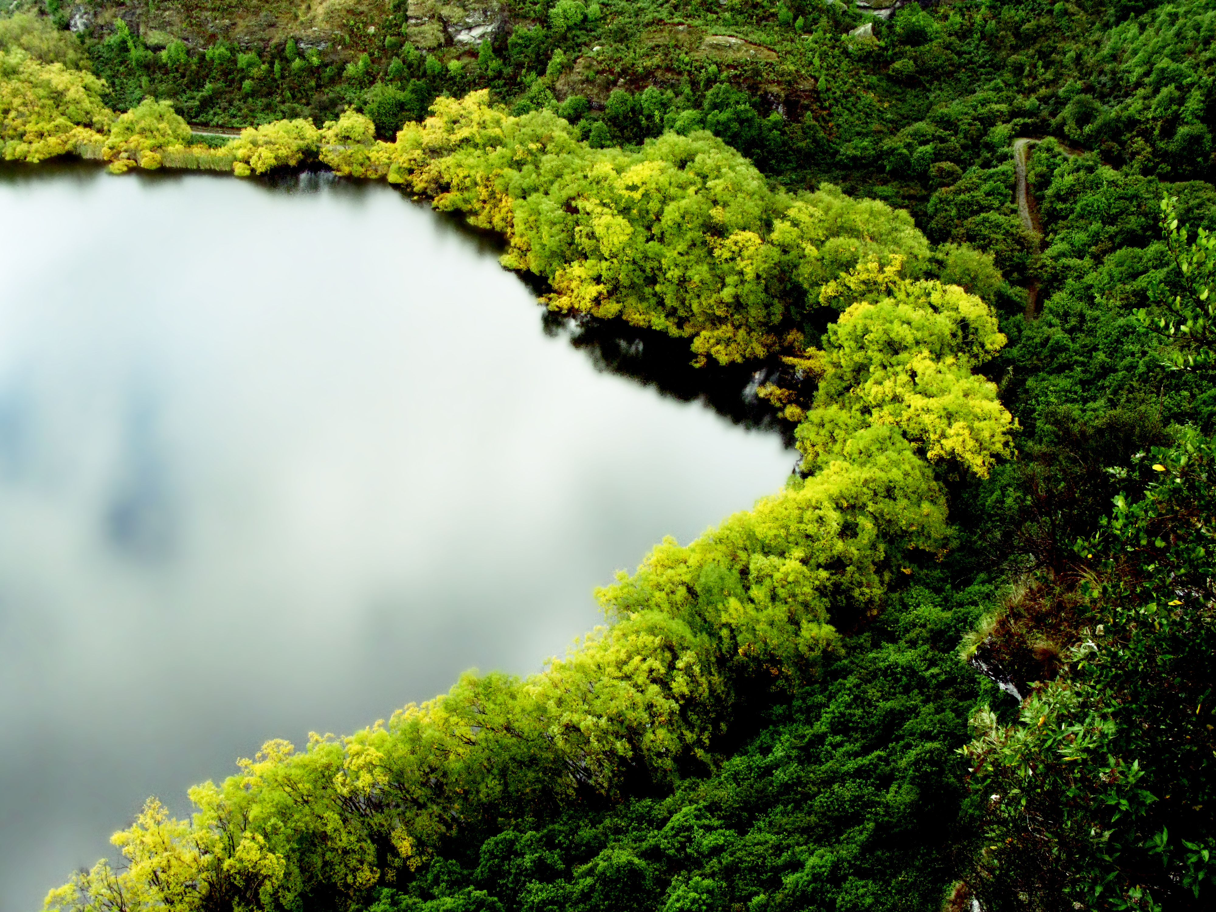 Autumn Pond