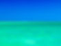 Pic-65.jpg