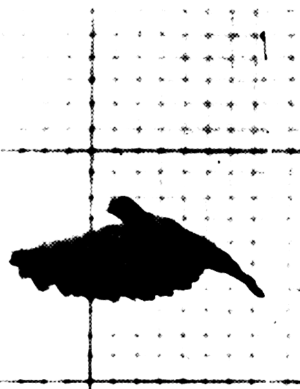 logo1.gif