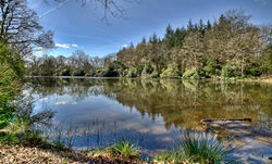 Brianseye Landscape (14)