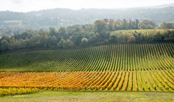 Brianseye Landscape (78)