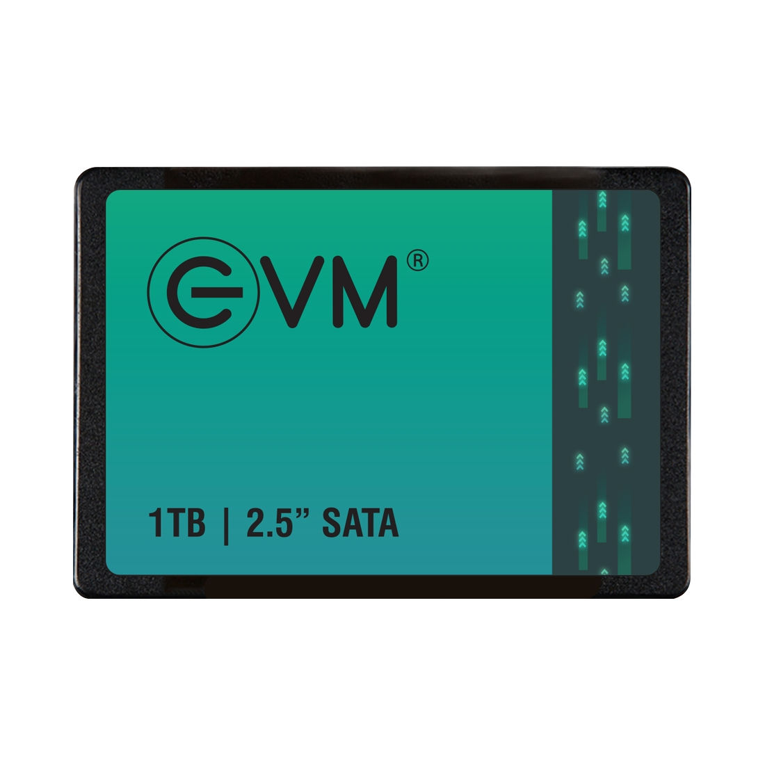 EVM 1 TB 2.5" SATA SOLID STATE DRIVE (SSD)

