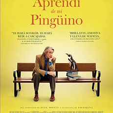 lo que aprendi de mi pinguino.jpg