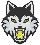 logo de l'esprit sportif academy