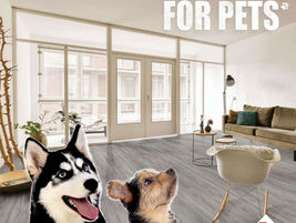 The Best Tile Choices for Pet-Friendly Homes