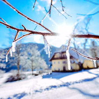 Ferienbauernhof Gullyhof im Metnitztal in Kärnten | Urlaub am Bauernhof