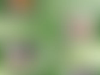 Show season 2022 / Zaključek show sezone 2022