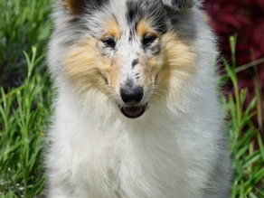 New addition - Welcome Tristan!