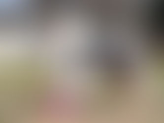 CACIB Vrtojba & Bale shows - Tristan