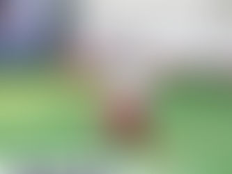 ECC & KG Sports Day was a hit!