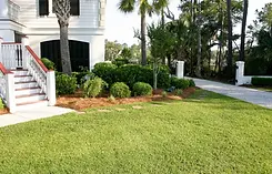 tree-service-charleston-sc.webp