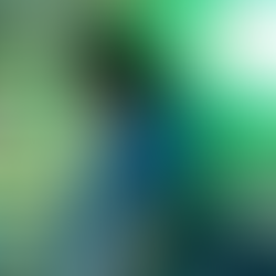 大学生の暇つぶしのすゝめ