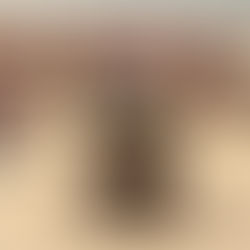 טופיפי קיטוגני שחובה להכין 