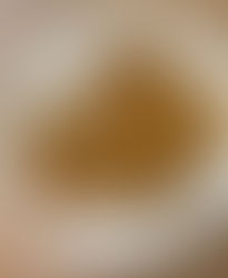 טוסט טונה קיטוגני - הסנדוויץ המושלם !