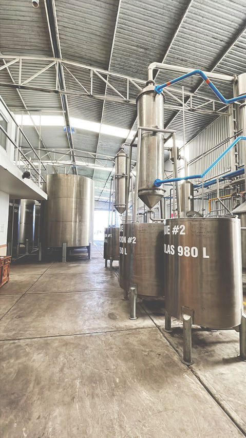 Stainless steel tanks inside a DISTILLERY, industrial manufacturing process