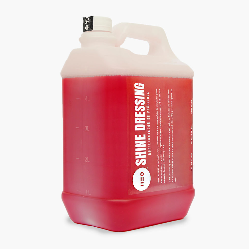 Bidón 5L Shine Dressing