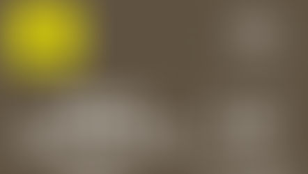 海外食品华人协会 2023开年重磅活动- 《雀巢食品创新加速器分享会》