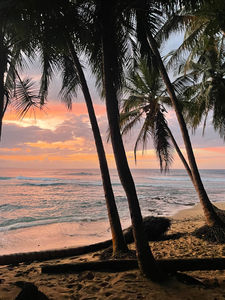 Back from paradise