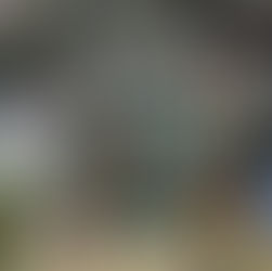 Hasta el año que viene