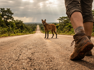 Terras desconhecidas: um recomeço na vida entre medo e descoberta