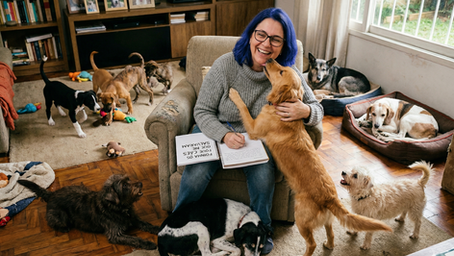 Mulher cercada por cães em casa, simbolizando como animais de estimação podem salvar vidas e oferecer amor incondicional em momentos difíceis.